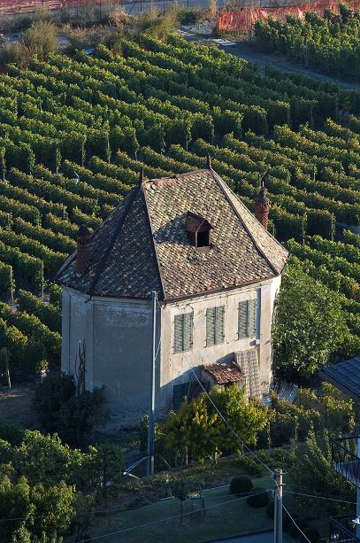 Rapporto di attività I.A.R.