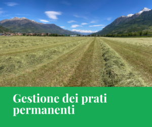 Gestione dei prati permanenti