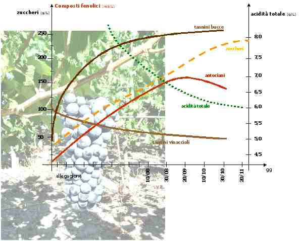 Monitoraggio della maturità enologica di uve aziendali (agg. 15/10/2021)