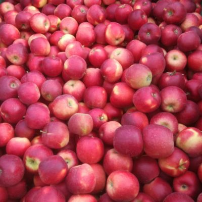 Mele della Valle d'Aosta