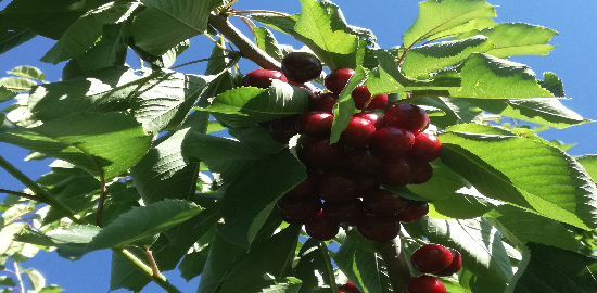 IMG_20190624_090749 (1) IMG_20190624_090749 (1)