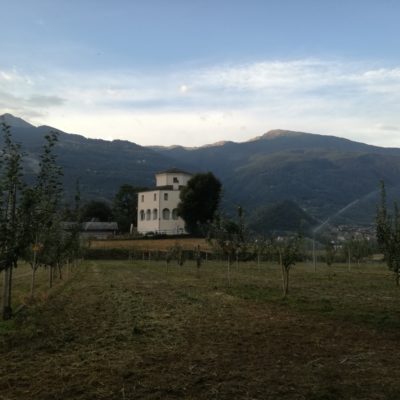 Parcella varietà tradizionali di melo