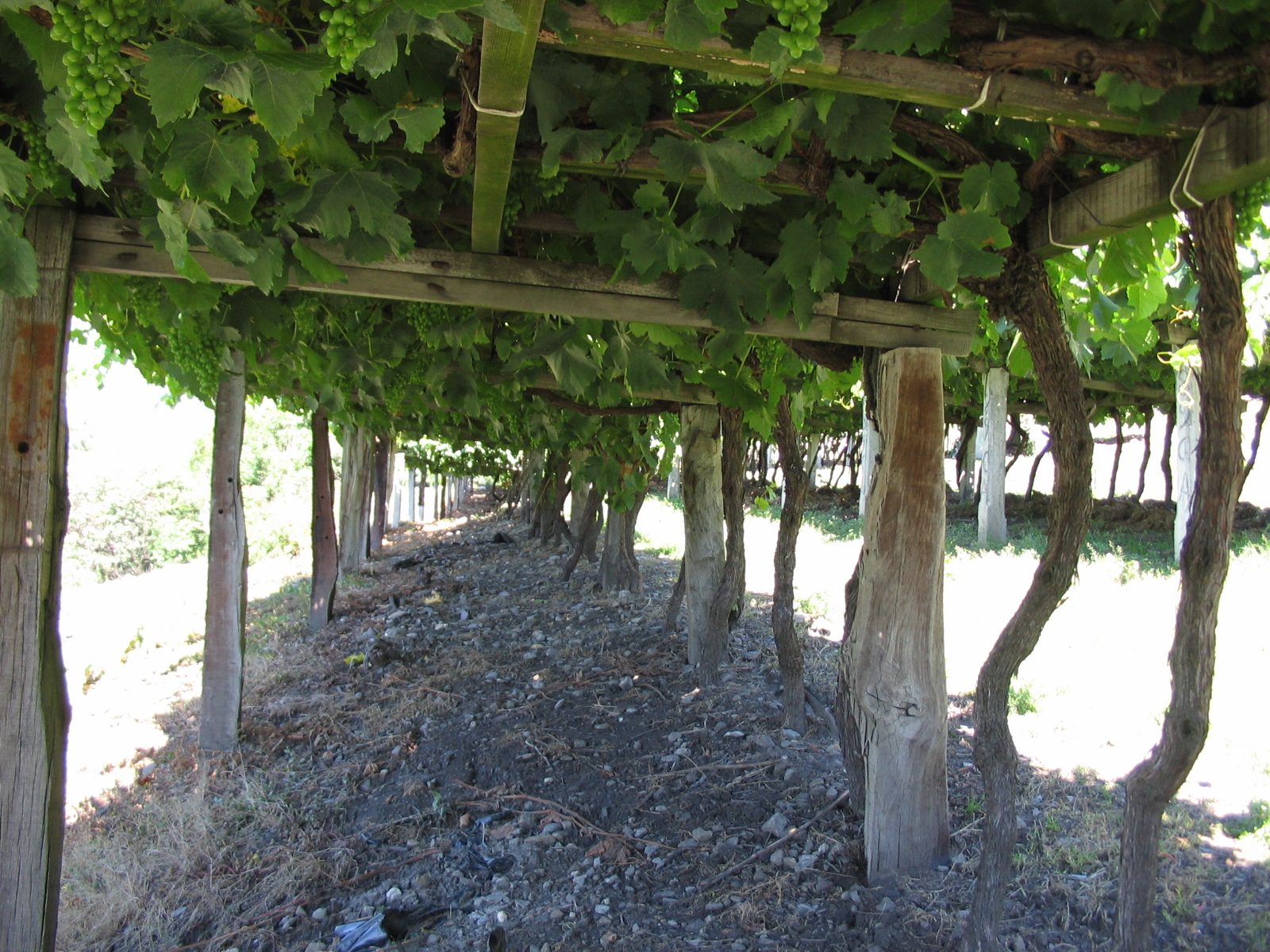 Progetto ALCOTRA VI.A. TOUR. – Avviso manifestazione d’interesse