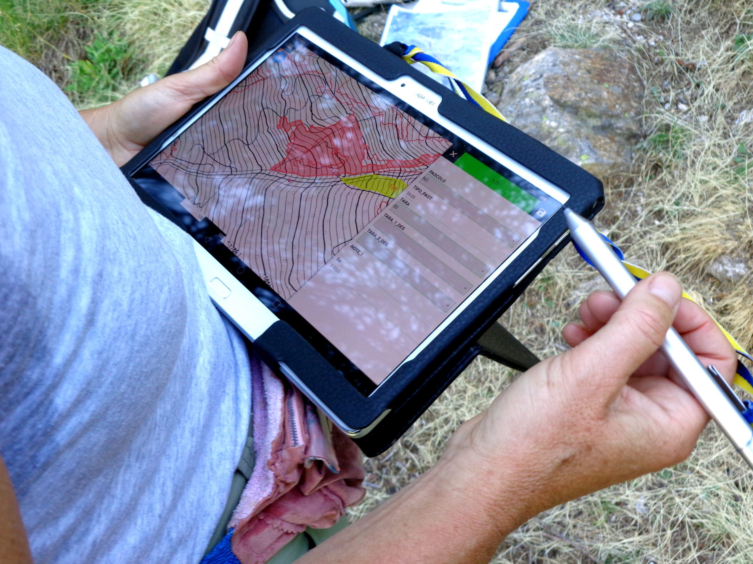 Nuovo corso di formazione SUI PIANI DI GESTIONE DEI PASCOLI D’ALPEGGIO