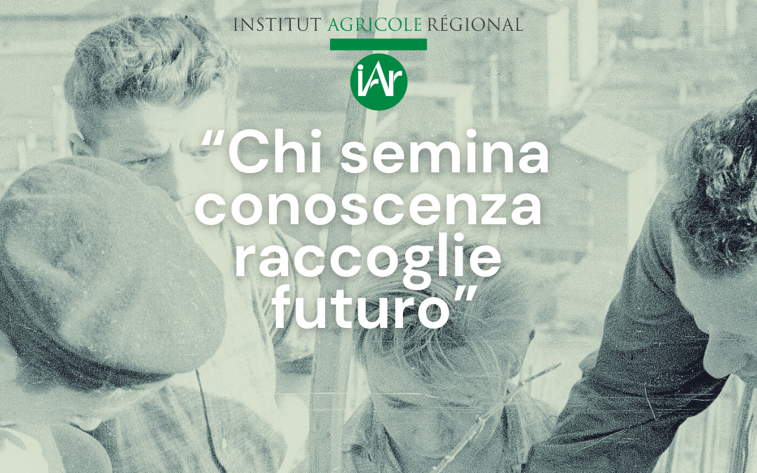 Il tuo 5×1000 per coltivare il futuro dell’agricoltura valdostana