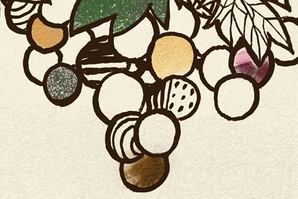 Vins Extrêmes 2025: L’appuntamento con i Vini Eroici al Forte di Bard