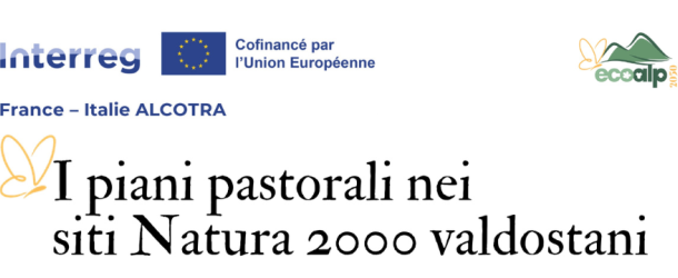 News ed Eventi dello IAR
